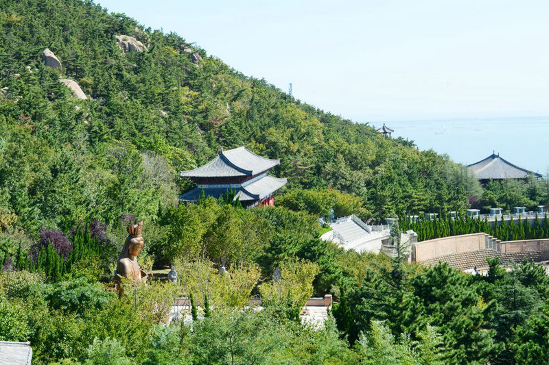 西敏寺犬展 西敏寺犬展2025 西敏寺犬展 西敏寺犬展2025