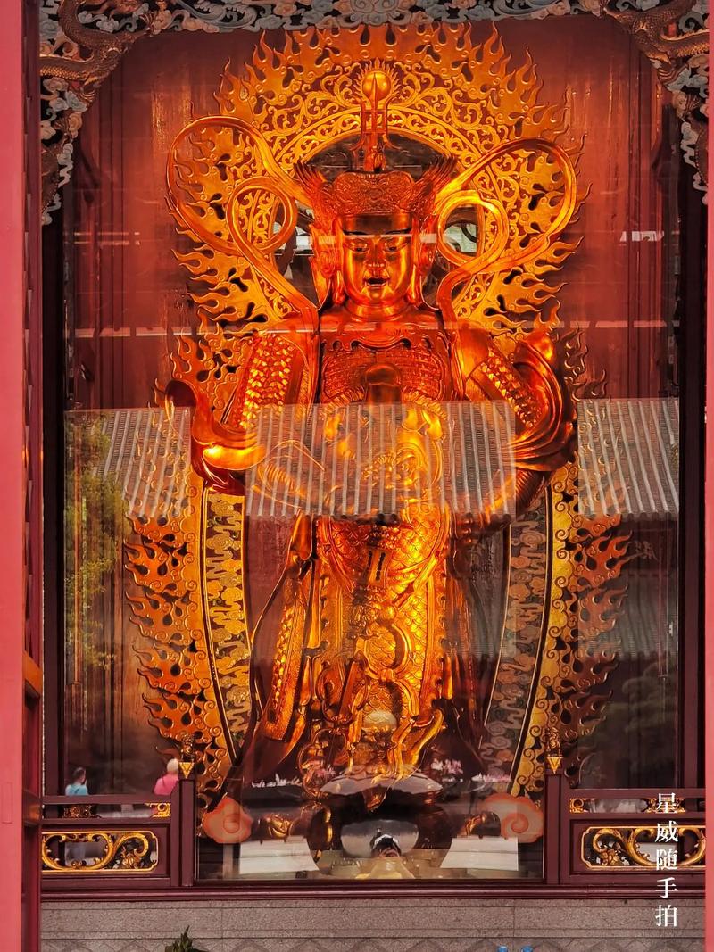 ΢�������ɰ�С���� �������µ�΢������Ů��