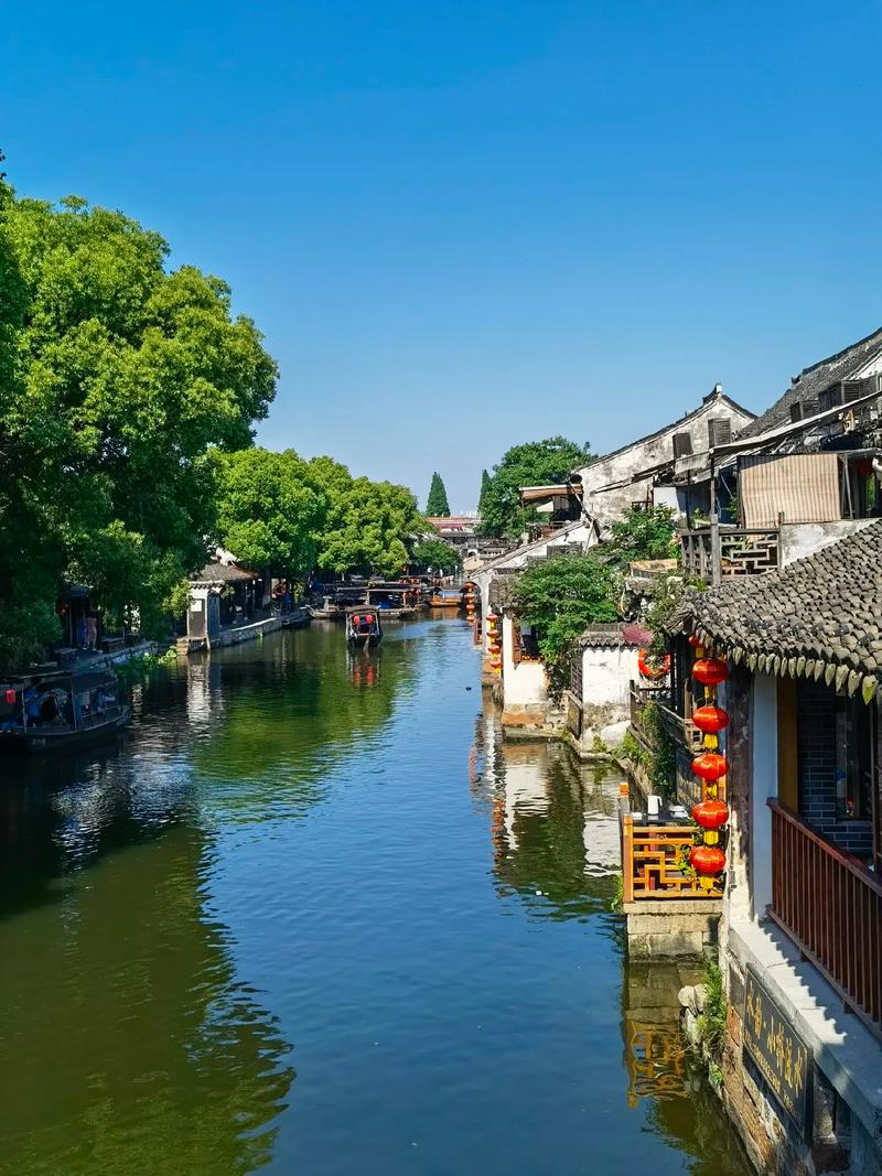 2026��ʮ����Ф��Ф�����˼���