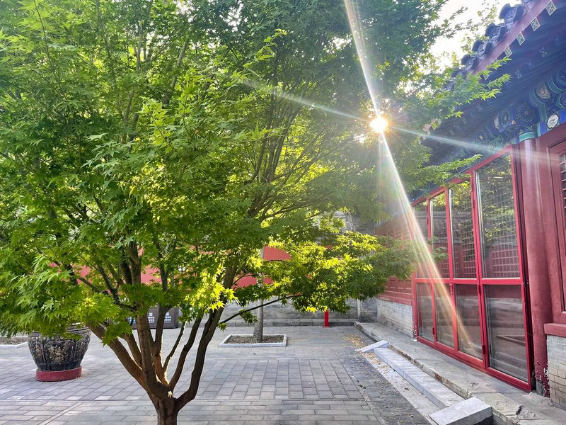 �ε����˷�² �ε�ս���Լ�����²