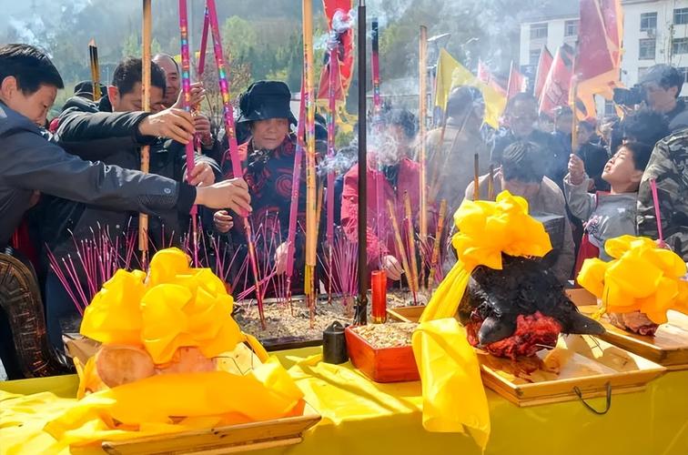 王丽云演的全部电视剧 王丽云演的全部电视剧