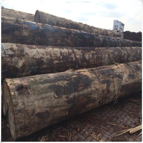 �����ľ�� �����ľ��ҷı��Ӽ۸�