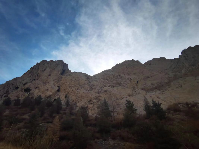 �³����������Ů����