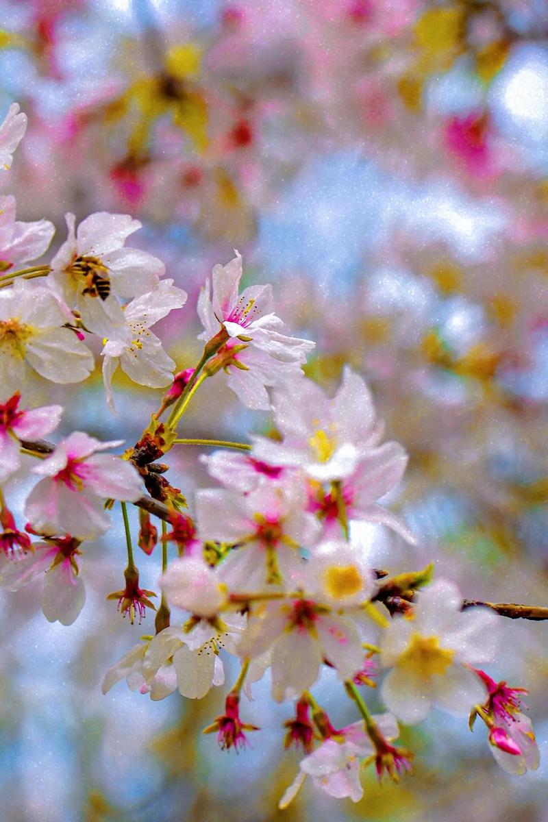 ��ϲ����ϲ�һ�����ʲô��˼