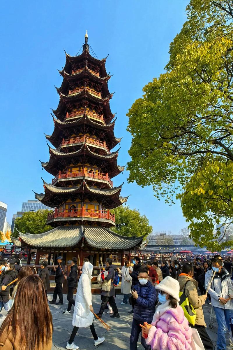 �칫����ֲ�ڷ�ָ�� ��Щֲ���ʺϰ칫�� 