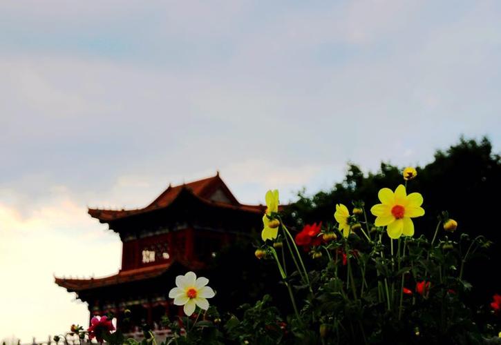 �������ֱ���һ����Ա